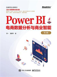 Power BI电商数据分析与商业智能(第2版)/零一