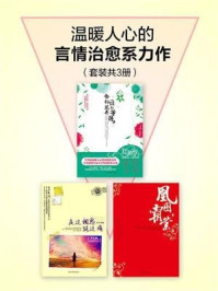 温暖人心的言情治愈系力作(套装共3册)/王火火