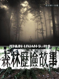 森林历险故事/竭宝峰