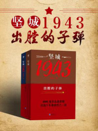 坚城1943:出膛的子弹/徐晨达