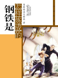 钢铁是怎样炼成的/奥斯特洛夫斯基