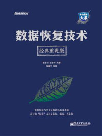 数据恢复技术(经典重现版)/戴士剑