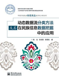 动态数据流分类方法及其在民族信息数据挖掘中的应用/姚远