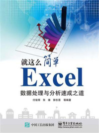 Excel数据处理与分析速成之道/付俊辉