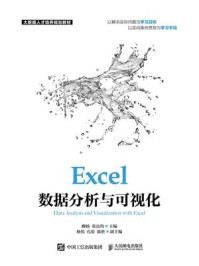 Excel数据分析与可视化/柳扬
