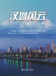 汉城风云（上册）/丁天