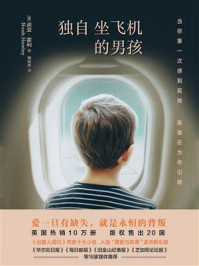 独自坐飞机的男孩/诺亚·霍利