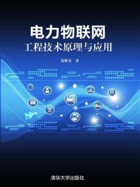 电力物联网工程技术原理与应用/葛维春