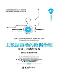主数据驱动的数据治理——原理、技术与实践/王兆君