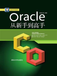Oracle从新手到高手/杨继萍