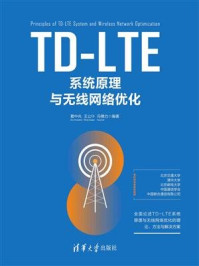 TD-LTE系统原理与无线网络优化/王公仆