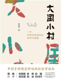 大国小村/史鹏钊