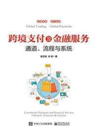 跨境支付及金融服务:通道、流程与系统/胡丕辉
