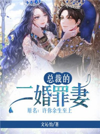 总裁的二婚罪妻（原名许你余生至上）/文沁怡