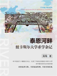 泰恩河畔：纽卡斯尔大学求学杂记/南梅