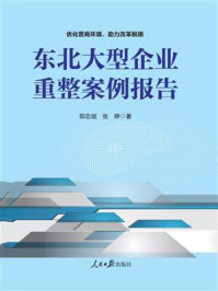 东北大型企业重整案例报告/郑志斌