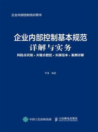 企业内部控制基本规范详解与实务：风险点识别+关键点把控+实操范本+案例详解/平准