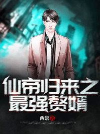 仙帝归来之最强赘婿/中侠