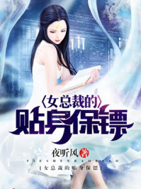 女总裁的贴身保镖/夜听风