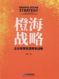 橙海战略——企业有限资源竞争战略/赵明