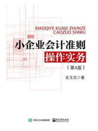 小企业会计准则操作实务(第4版)/史玉光