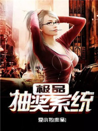 极品抽奖系统/夏小书