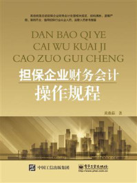 担保企业财务会计操作规程/黄燕茹