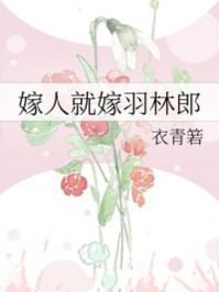 嫁人就嫁羽林郎/衣青箬