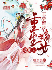 王爷留步,重生嫡女要追夫/叽歪歪