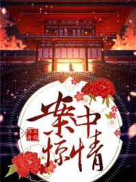 案中惊情/幺鸡