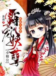 医妃八岁半:霸宠妖孽小相公/淮粥-mob/epub/azw3/pdf电子书免费下载/书单推荐16km电子书