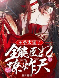 王爷太猛了：全能医妃撩炸天/红叶绵绵-mob/epub/azw3/pdf电子书免费下载/书单推荐16km电子书