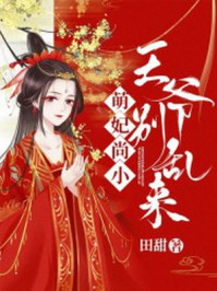 萌妃尚小：王爷别乱来/田甜-mob/epub/azw3/pdf电子书免费下载/书单推荐16km电子书