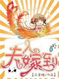 夫人嫁到/百里糖-mob/epub/azw3/pdf电子书免费下载/书单推荐16km电子书