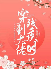 穿到大佬残疾时/叁公子-mob/epub/azw3/pdf电子书免费下载/书单推荐16km电子书