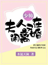 少帅,夫人又在闹离婚!/水氲天澜-mob/epub/azw3/pdf电子书免费下载/书单推荐16km电子书