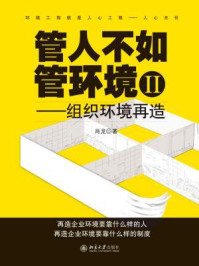 管人不如管环境2:组织环境再造/肖龙-mob/epub/azw3/pdf电子书免费下载/书单推荐16km电子书