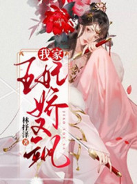 我家王妃娇又飒/林抒泽