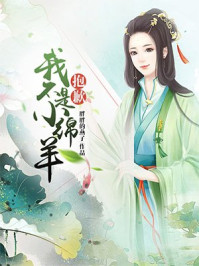 抱歉,我不是小绵羊!/胖胖的燕子-mob/epub/azw3/pdf电子书免费下载/书单推荐16km电子书