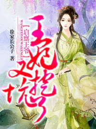 启禀王爷,王妃又挖坑了/徐家长公子-mob/epub/azw3/pdf电子书免费下载/书单推荐16km电子书