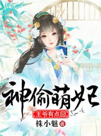 神偷萌妃,王爷有点囧/株小魅-mob/epub/azw3/pdf电子书免费下载/书单推荐16km电子书