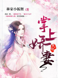 掌上娇妻/林家小狐狸