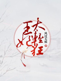 王妃太轻狂/风过无痕-mob/epub/azw3/pdf电子书免费下载/书单推荐16km电子书