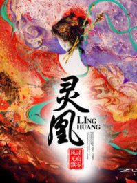 灵凰/风过无痕飘零-mob/epub/azw3/pdf电子书免费下载/书单推荐16km电子书