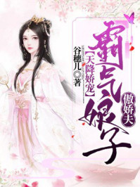 天降娇宠：霸气娘子傲娇夫/谷穗儿-mob/epub/azw3/pdf电子书免费下载/书单推荐16km电子书