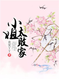 小姐太败家/莫笑丫丫-mob/epub/azw3/pdf电子书免费下载/书单推荐16km电子书