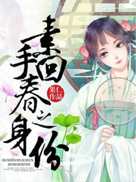 素手回春之身份/果仁-mob/epub/azw3/pdf电子书免费下载/书单推荐16km电子书