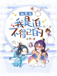 做圣母，我是迫不得已的！/小污-mob/epub/azw3/pdf电子书免费下载/书单推荐16km电子书