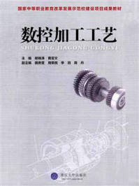 数控加工工艺/杨锦涛-mob/epub/azw3/pdf电子书免费下载/书单推荐16km电子书