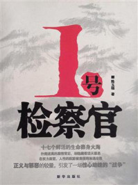 1号检察官/陈玉福-mob/epub/azw3/pdf电子书免费下载/书单推荐16km电子书